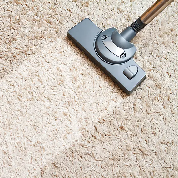 Professional Carpet Cleaning