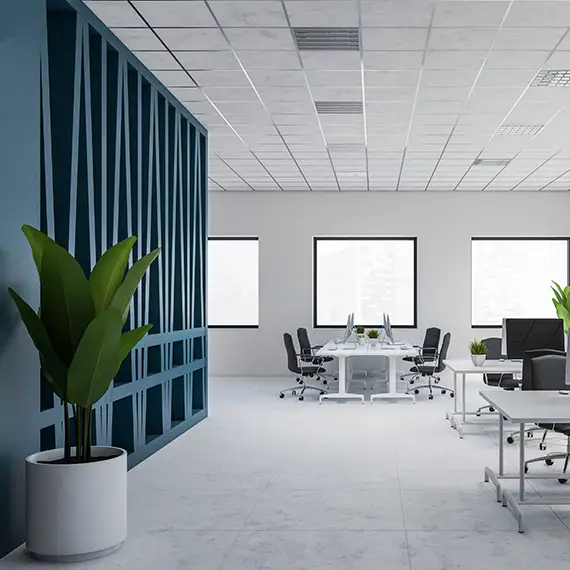 Commercial Painting