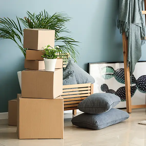House Removals